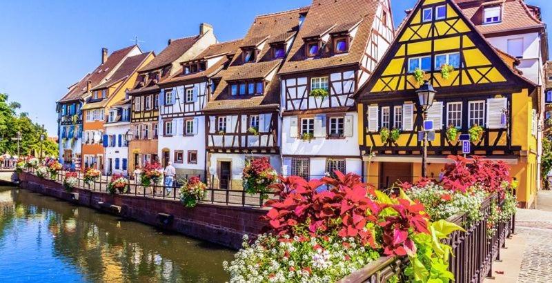 Gîte avec piscine CHEZ VÉRO Breitenbach-Haut-Rhin Esterno foto